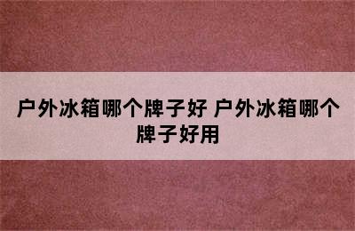 户外冰箱哪个牌子好 户外冰箱哪个牌子好用